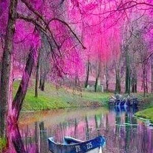 Meet your Posher, Susan